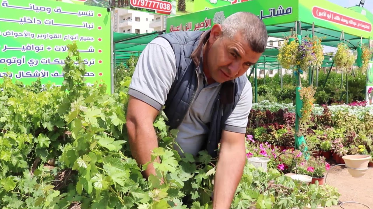 انجازات اردنية | مشتل ومعرض الأمير | م. عبدالله يوسف طالب