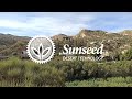 Sunseed desert technology an ecoproject in almeria