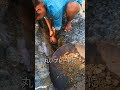 岩の割れ目から見つけた黄金