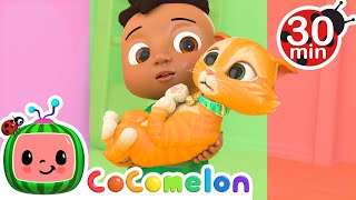 The Cat Gets Scared, but luckily Cody is here | CoComelon Nursery Rhymes & Kids Songs