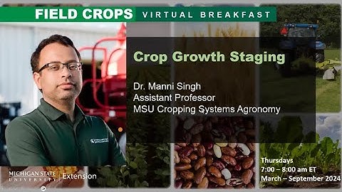 Field Crops Virtual Breakfast: Crop Growth Staging