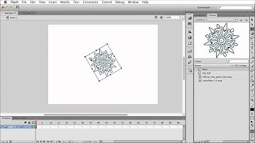 Resize Rotate and skew Flash CS6
