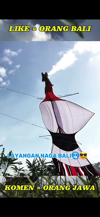 Jawa Ingin Meniru Membuat Janggan Dan Mau Mengalahkan Layanga Janggan Asli Yang Ada Di Bali