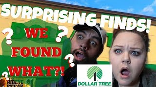 New at Dollar Tree | Shop and Haul | January 2020