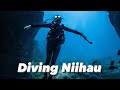 Niihau- the forbidden island