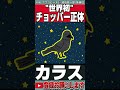 【ワンピース】チョッパーの悪魔の実の正体。万能薬になるの本当の意味。ヒトヒトの実幻獣種モデルパナ・パナア・パナー。【ネタバレ】【最新話がもっと楽しみになる考察】【黒磯】#shorts #ワンピース