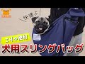 犬用スリングバッグ購入で愛犬も飼い主も快適すぎた！【パグ犬BuBu】