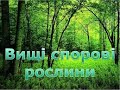 Вищі спорові рослини для 6 класів