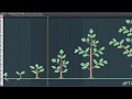 How does Planting Tree Sounds Like, 20 million trees - MIDI Art