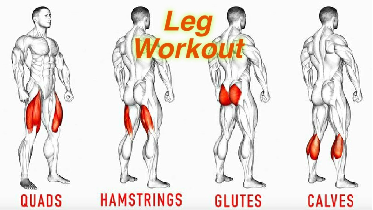 The Perfect Leg Workout At Home For All And Muscle Building ( Shayari ...