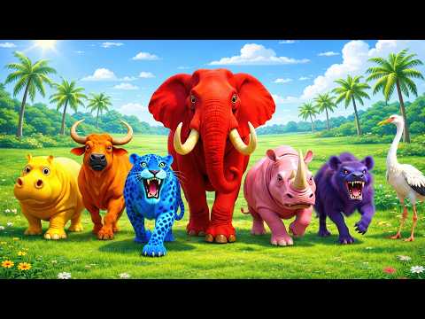 Happy Morning Jazz 🎶 January Bossa Nova Instrumental and Relaxing Jazz Cafe Music for Studying #14