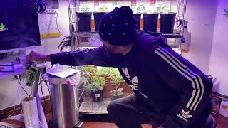 How I add beneficial bacteria and microbes!! Plus daily video!!!￼