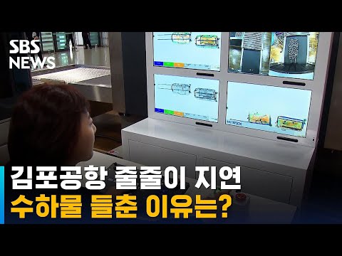   김포공항 항공기 줄줄이 지연 수하물 하나씩 들춘 이유 SBS