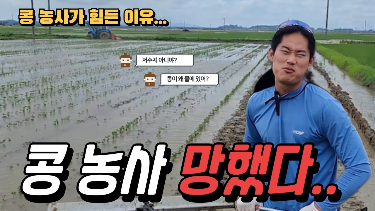 콩 농사가 이렇게 어려웠나? l 벼로 작목변경 l 25년 농사 힘드네 l #청년농부 #콩농사 #긍정농부차씨