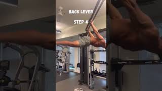 All Progressions of Back Lever