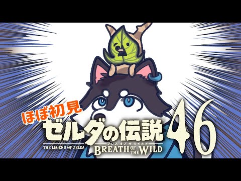 【はじめてのゼルダの伝説】＃46　GWはコログ回収にぴったりだなぁ！！【BotW】