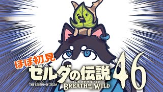 【はじめてのゼルダの伝説】＃46　GWはコログ回収にぴったりだなぁ！！【BotW】