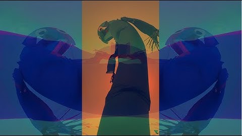 Z NEGATIVE The Sunset of the Chained Dragon 2008