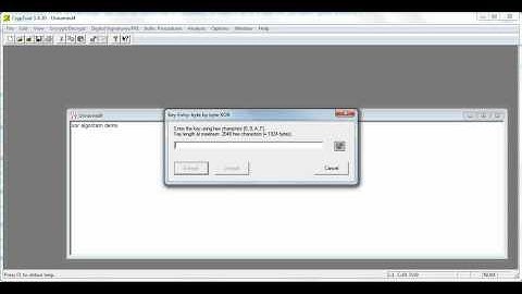 CrypTool XORdemo.avi