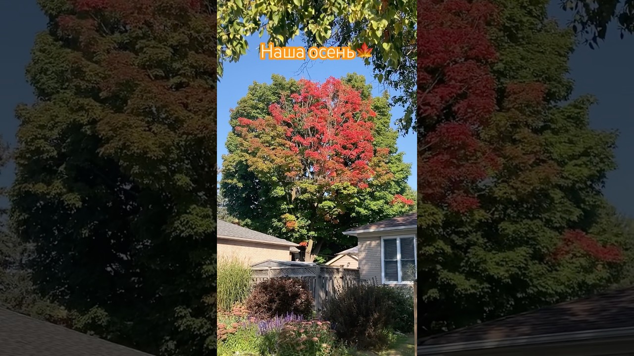 НАЧИНАЕТСЯ КРАСОТА! 