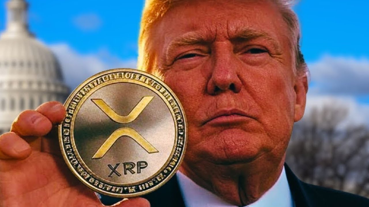 XRP TRUMP SAYS BUY XRP NOW !!!! TOM LEE CONFIRMS !!!! - YouTube