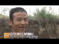 20151105 科技苑  种苹果 狠一点再狠一点