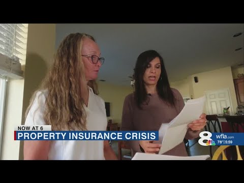 Florida woman's property insurance premium increases by more than 80%