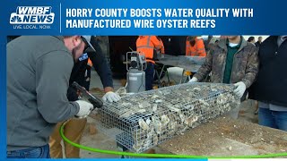 Horry County boosts water quality with manufactured wire oyster reefs