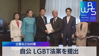 自公 ＬＧＢＴ法案を提出 立憲などは対案【WBS】（2023年5月18日）