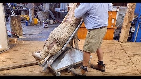 Laparoscopic AI Cradle & Sheep Loader