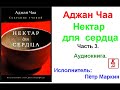 Алжан Чаа.   Нектар для сердца (Аудиокнига) Часть 3