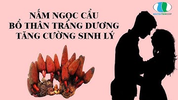 NẤM NGỌC CẨU, BỔ THẬN TRÁNG DƯƠNG TĂNG CƯỜNG SINH LÝ