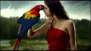 Красивый клип - животные и девушки Красивый клип - животные и девушки