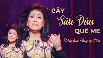 Vọng cổ Cây Sầu Đâu Quê Mẹ (soạn giả: Hoàng Song Việt), tiếng hát Phượng Liên