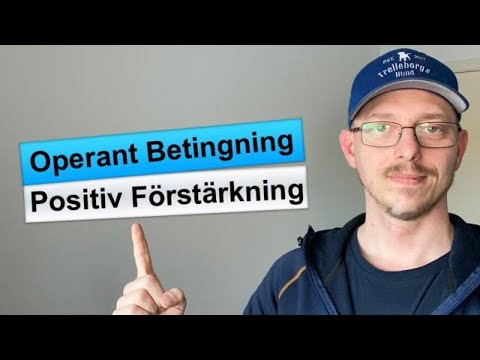 Video: Är det förstärkning eller förstärkning?