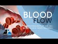 BLOOD FLOW | Balance Physical Therapy