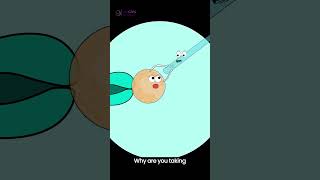 Wait… Who Let Them In? | Inside the IVF Lab