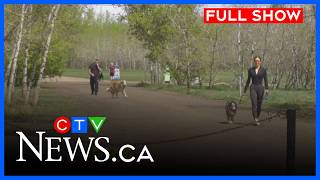 New animal control bylaw takes effect | CTV News Edmonton at 11:30 for May 19, 2026