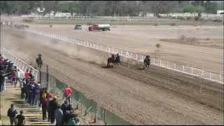HIPODROMOJOCKEY CLUB SANJUAN 11/9/22 4ºCARRERA