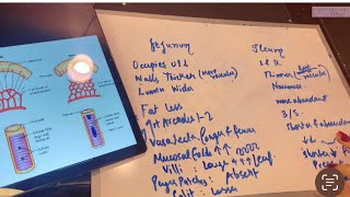 Jejunum Ileum Unterschiede & Vergleich | Dünndarm-Konzept