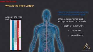 Module 2 3 What is the Price Ladder