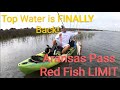 Top water is finally back aransas pass red fish limit