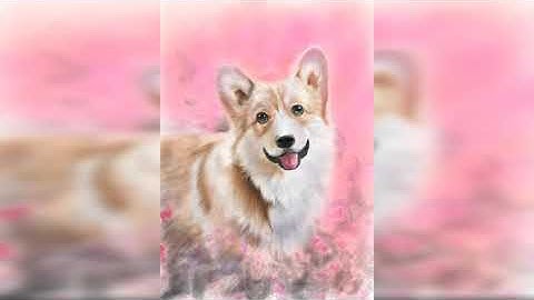 PGSD │ iPad Painting: Beautiful Welsh Corgi Portrait