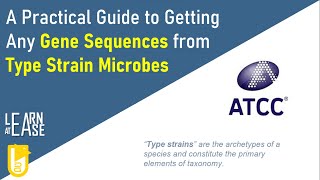 A Practical Guide to Getting Any Gene Sequences from Type Strain Microbes