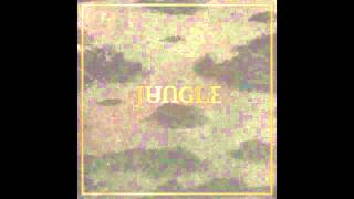 Jungle - Time (Darius Remix) chords