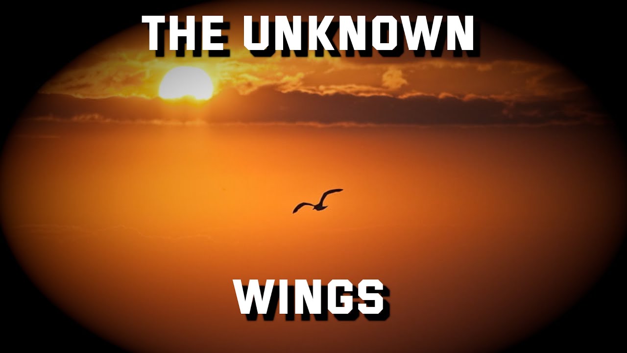 The Unknown Wings ( Lyrics ) Original Song YouTube