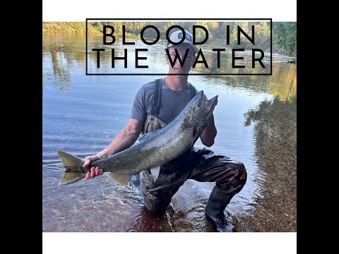 Blood in the Water Fishing 