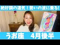 うお座♓️4月後半🔮やったー！絶好調の運気！！勢いの波に乗って次へ進んでください！！