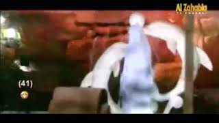 صلاح البحر يحبني ولا ميحبني