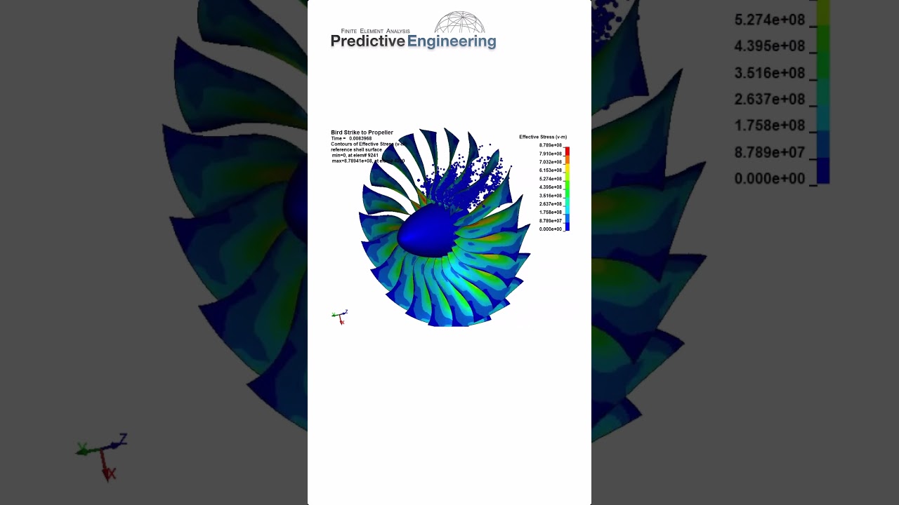 Large Bird Strike Simulation 